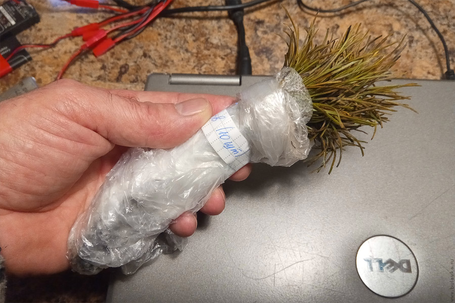 �&nbsp;���� ��������&nbsp;� 10&nbsp;��������