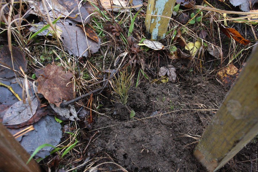 ������� ������� �����