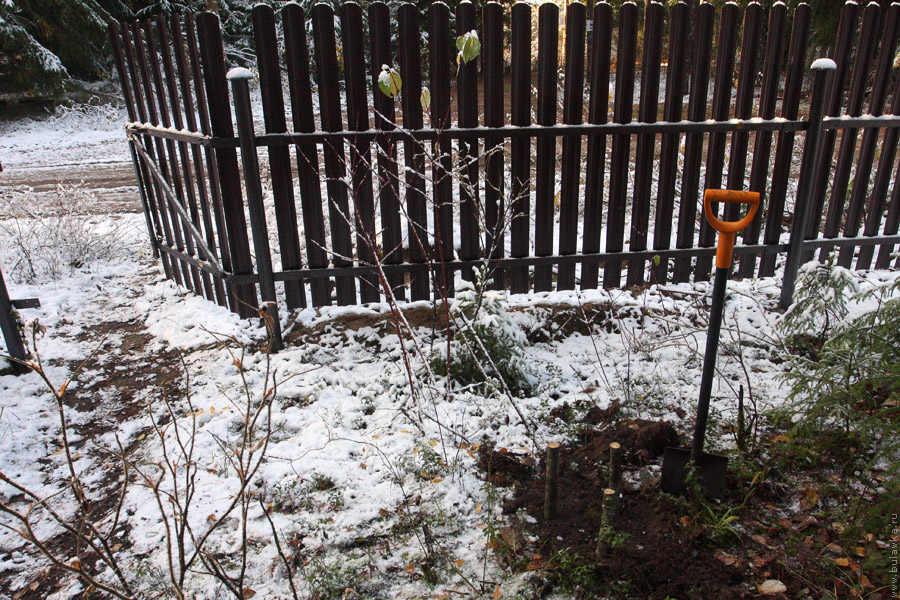 ������� ������� ����� ��&nbsp;����