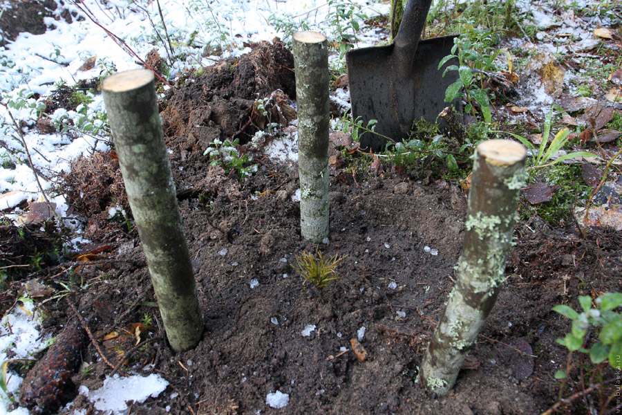 ������� ������� ����� ��&nbsp;����