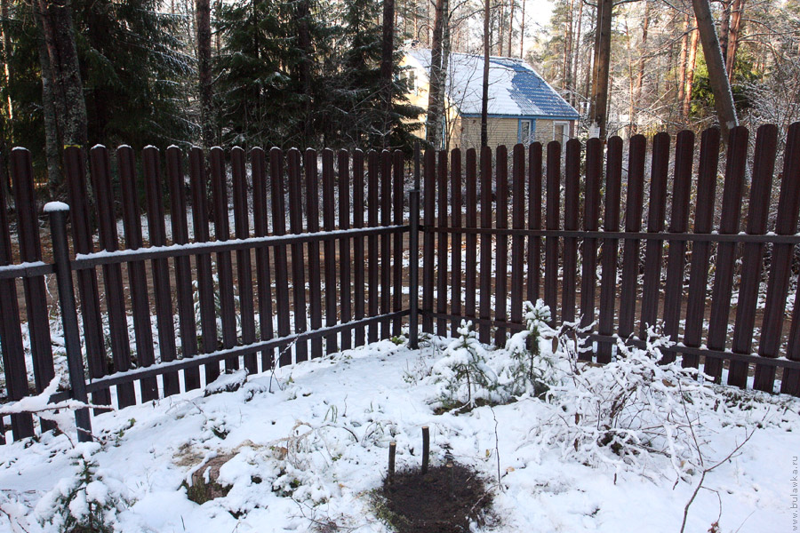 ������� ������� ����� ��&nbsp;����