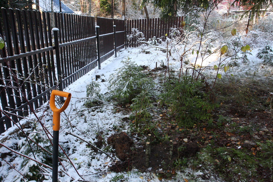 ������� ����� ������ (����� ��� �������)