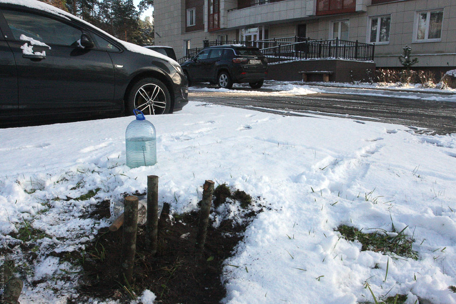 ������� ������� ����� �&nbsp;���� ��&nbsp;�����������