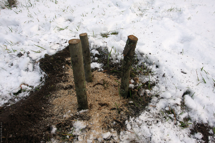 ������� ������� ��������