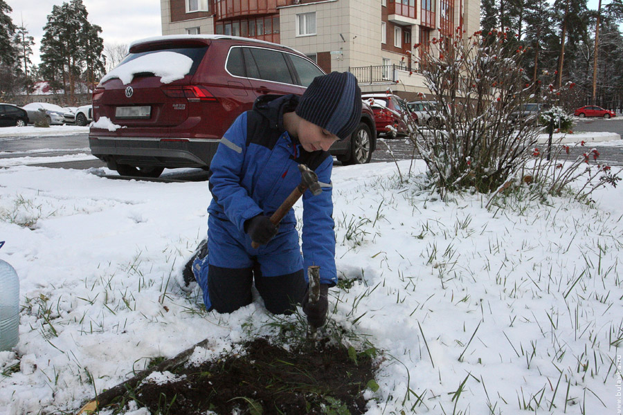 ����� ������ �������