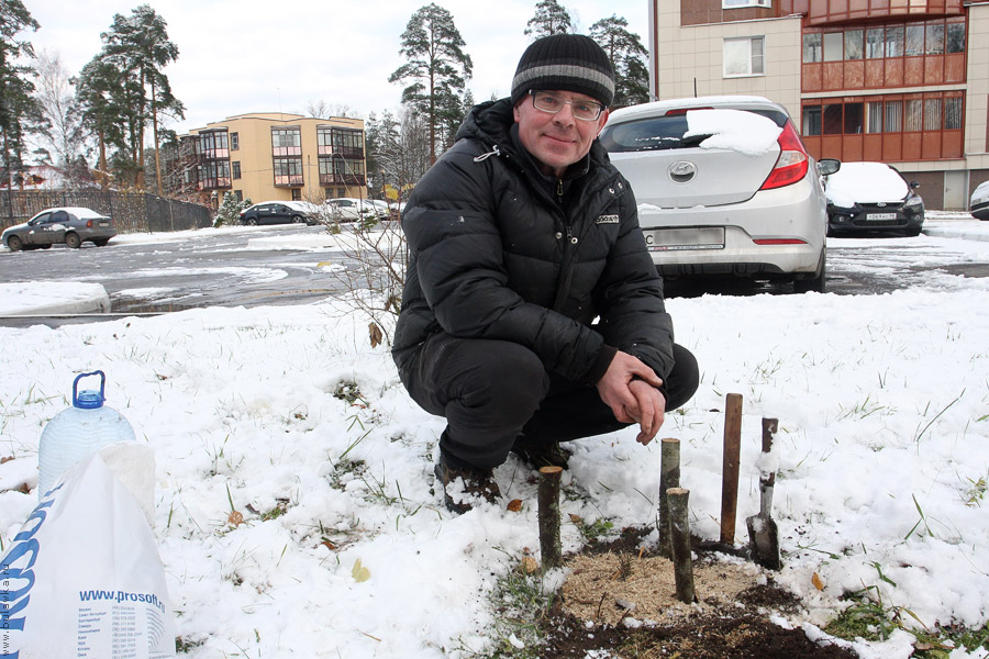 ������� ��������� �&nbsp;���������� �������� �����