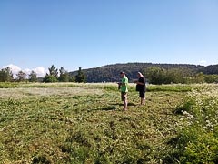 �����, ���&nbsp;����� ��������