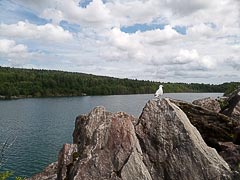����� �� ���������� ������
