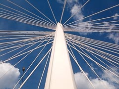 �������� ����� ���