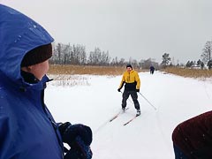 ���� ������