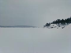 ����� ������� ����������