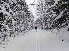 ������ �&nbsp;������ ��������� (�������)