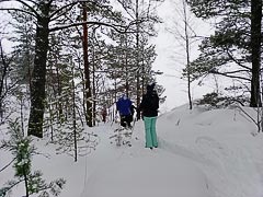 ����� �&nbsp;������