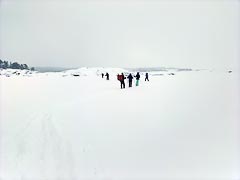 ����� �����������