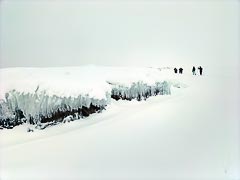 ����� �����������