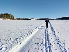 ����� �����