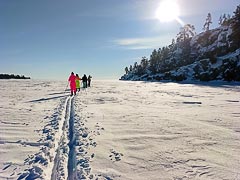 ����� ������� �����������