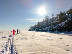 ����� ������� �����������