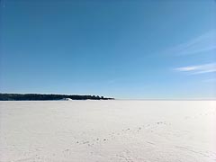 ������ �����������