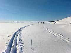 ������ ����������