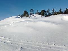 ����� ����� ������� �����������