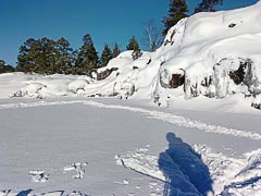 �������� ��&nbsp;����� ������ ������� �����������