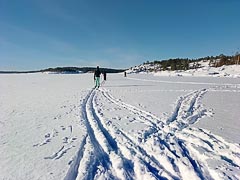 ����� ����� ������� �����������