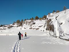 ����� ��&nbsp;����� ������ ������� �����������