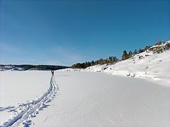 ����� ����� ������� �����������