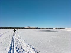 ������ ����������