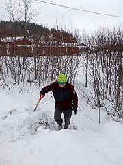 ���� ������ ������ ����� ������ ����� �������