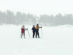 ˸���� ������