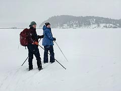 ˸���� ������