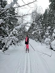 ������ �&nbsp;������ ��������� (�������)