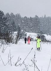 ���� �&nbsp;������ ��������� (�������)