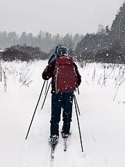 ���� �&nbsp;������ ��������� (�������)