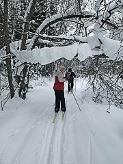 ���� �&nbsp;������ ��������� (�������)