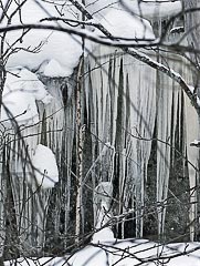 �������� ��&nbsp;������