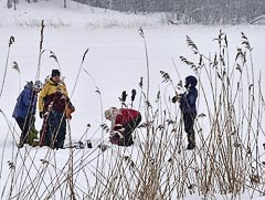 ������� �&nbsp;������ ��������� (�������)