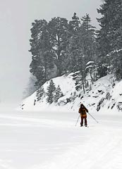 ���������� ������ ������ ��������� (�������)