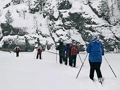 ���������� ������ ������ ��������� (�������)