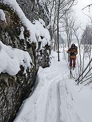 ���������� ������ ������ ��������� (�������)