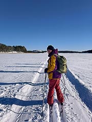 ������� ���������