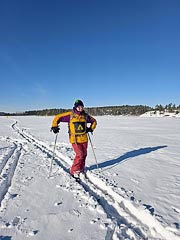 ������� ���������