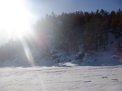 ����� ������� �����������