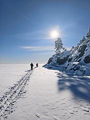 ��������� ��� ������� �����������