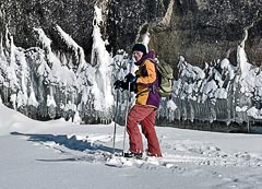 ������� ���������