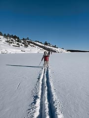 ����� ����� ������� �����������