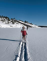 ����� ����� ������� �����������