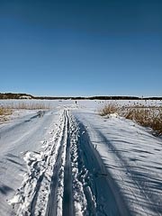 ����� ��&nbsp;�� �&nbsp;����� �����